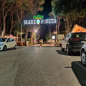 https://marepineta-caravans.emilia-romagnahotels.net